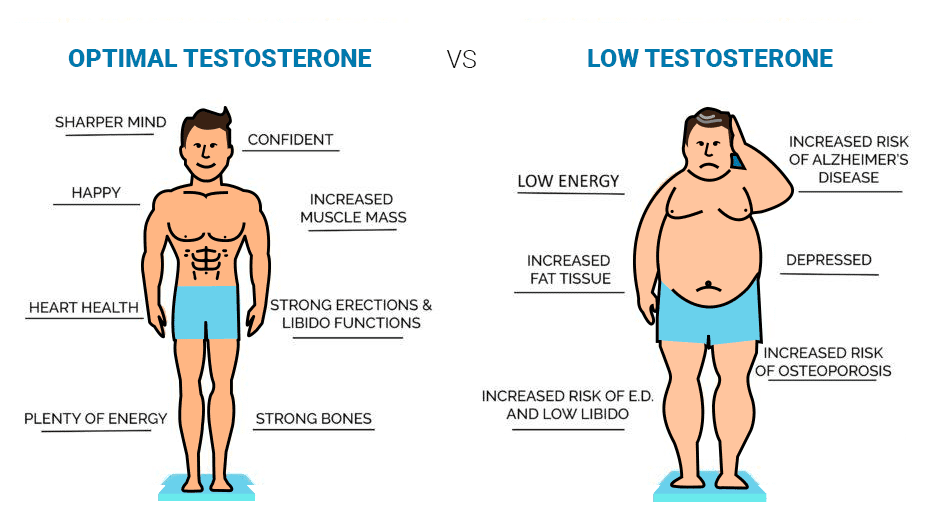 Testosterone And Weight Loss Is There A Link